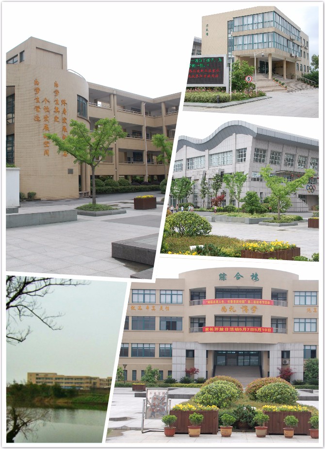 杭师大附属学校.jpg